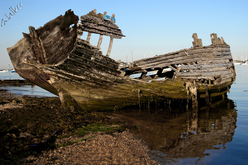 Shipwreck!
Ship ahoy, well nearly. A rotting ships hull in Langstone harbour
Keywords: Shipwreck