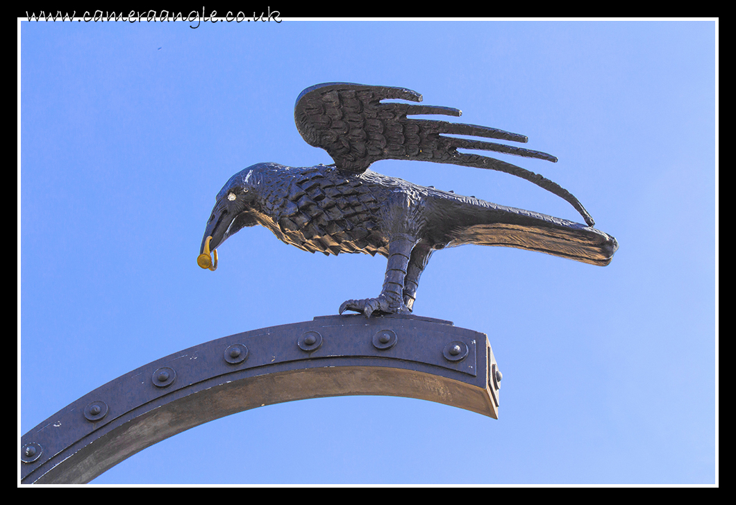 Crow
A Crow with a golden ring.
Keywords: Crow Ring Budapest