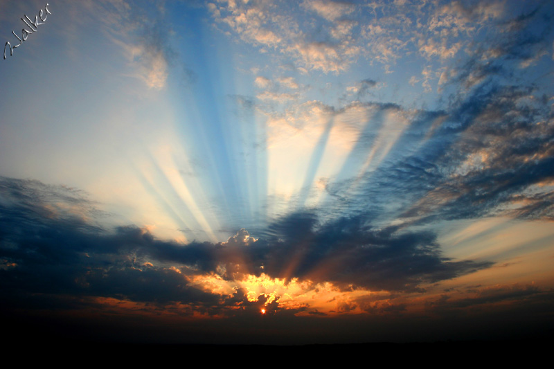 Sunset Sunray
Sunrays burst from behind a cloud during a sunset
Keywords: Sunray Sunset Cloud