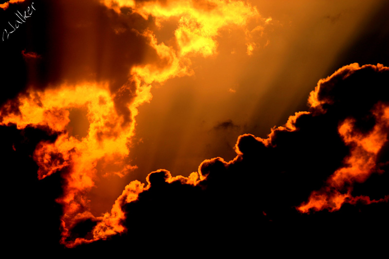 Fire in the sky
A close up shot of some clouds at sunset
Keywords: Clouds Sunset