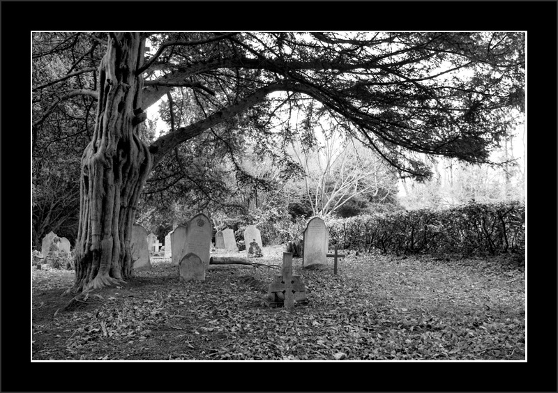 Cold Graveyard
It was as cold as it looks
Keywords: Graveyard