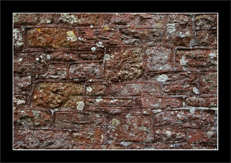 Church Wall
took this because I like the texture and the bricks

Keywords: Bricks