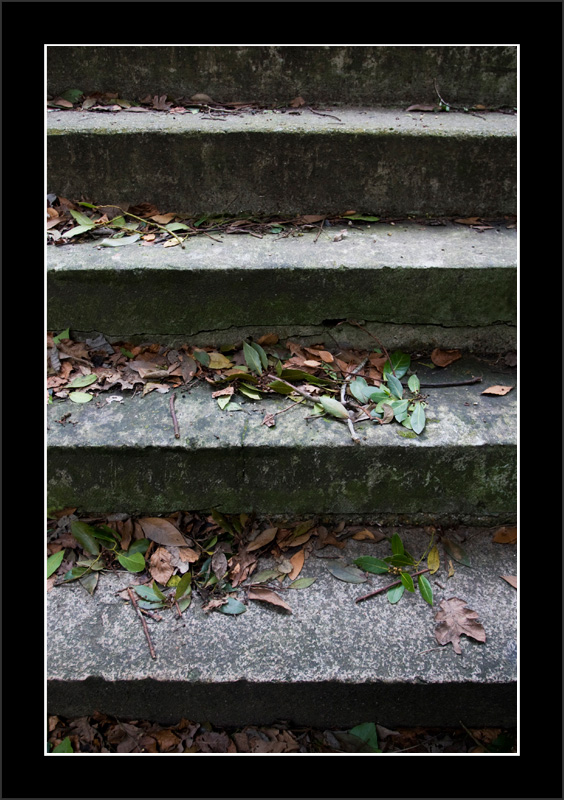 Steps
Took this because I like the pattern
Keywords: Steps