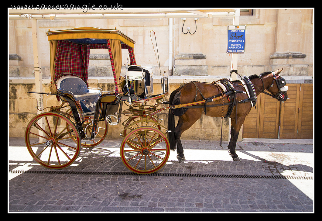 Horse Cab
Keywords: Horse Cab Valletta Malta
