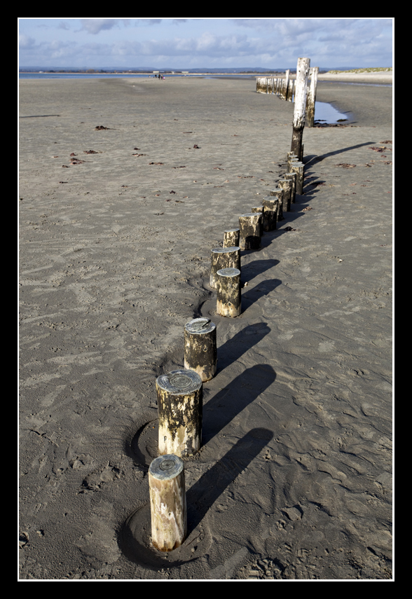 Posts
Wooden posts snake across the sand at West Wittering beach
Keywords: posts sand West Wittering beach