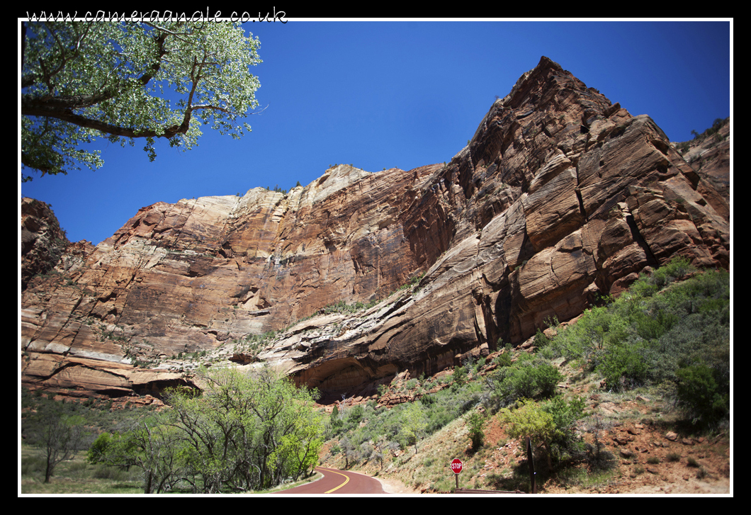 Zion Canyon
Keywords: Zion Canyon