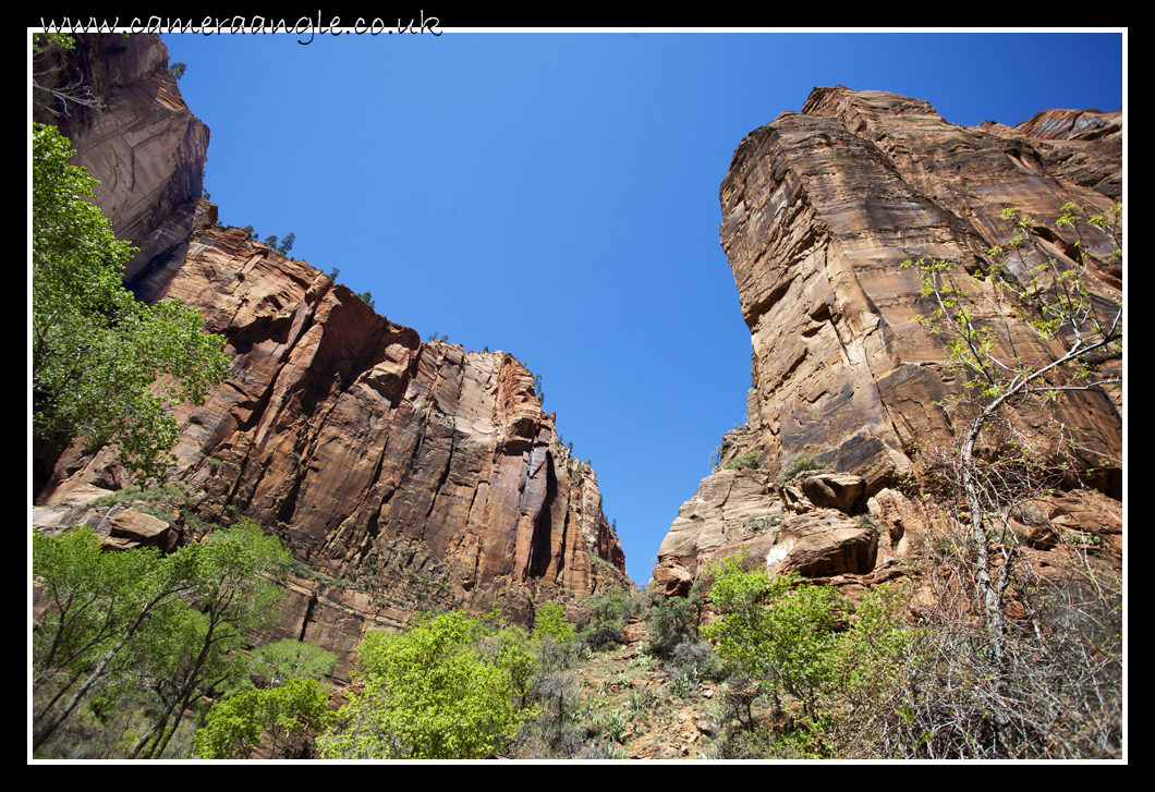 Zion Canyon
Keywords: Zion Canyon