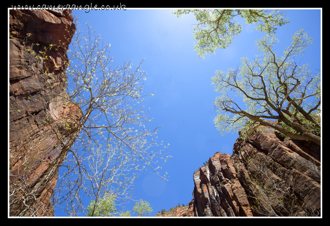 Zion Canyon
Keywords: Zion Canyon