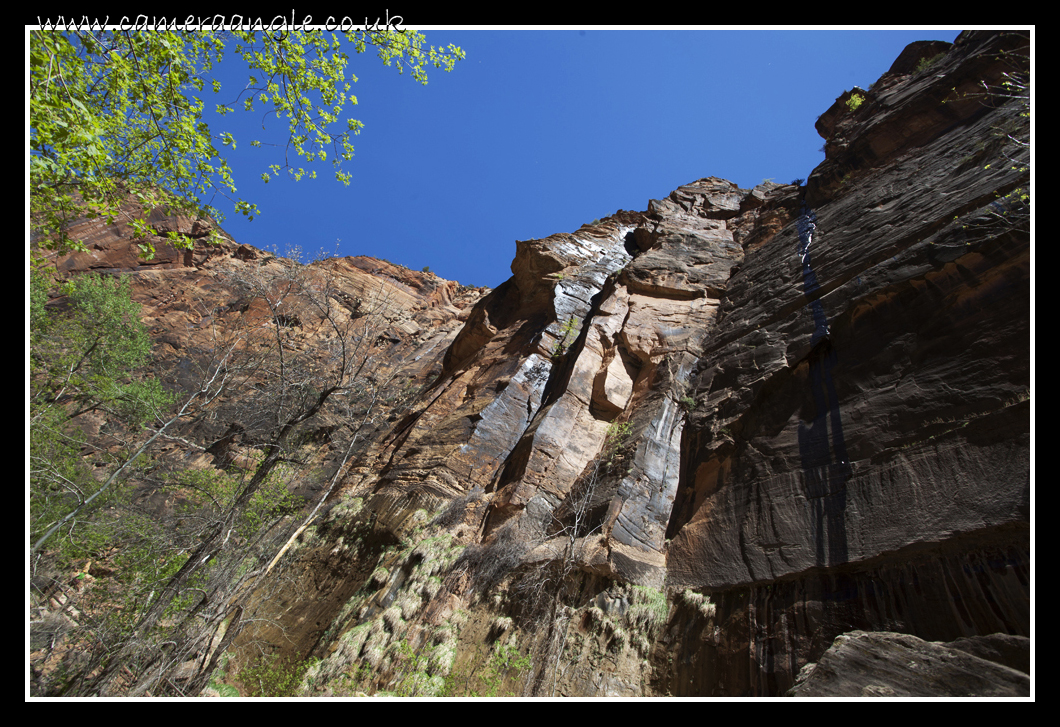 Zion Canyon
Keywords: Zion Canyon