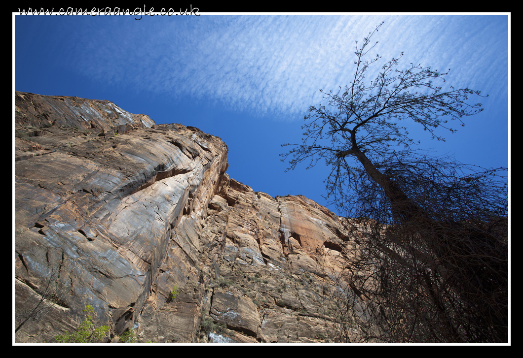 Zion Canyon
Keywords: Zion Canyon