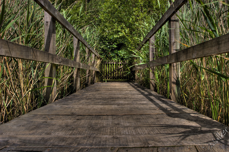 Walkway
A similar image to RichW but from a slightly different perspective.
Keywords: walk way