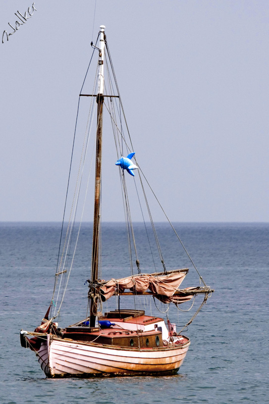 Boat
Boat at Beer in Devon
Keywords: Beer Devon Boat