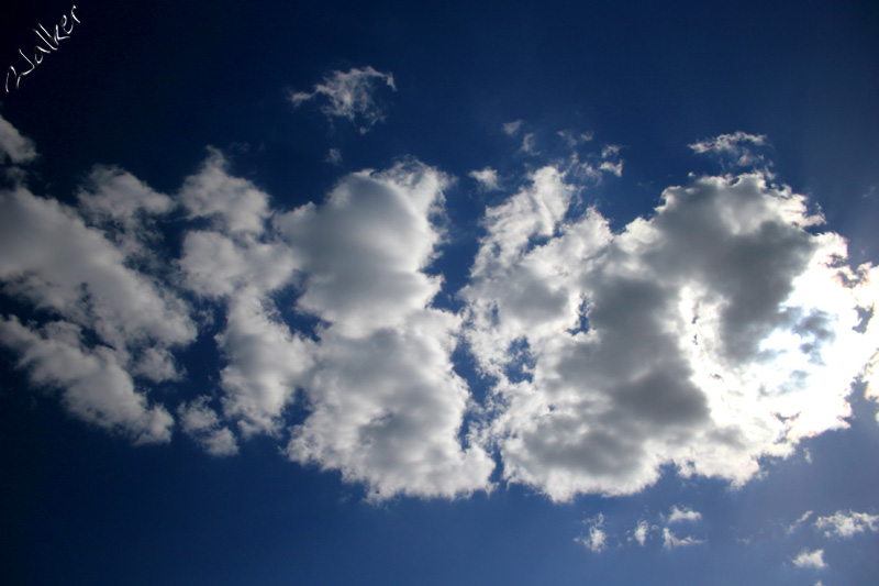 Clouds
A Group of clouds over Sidmouth
Keywords: Clouds Sidmouth