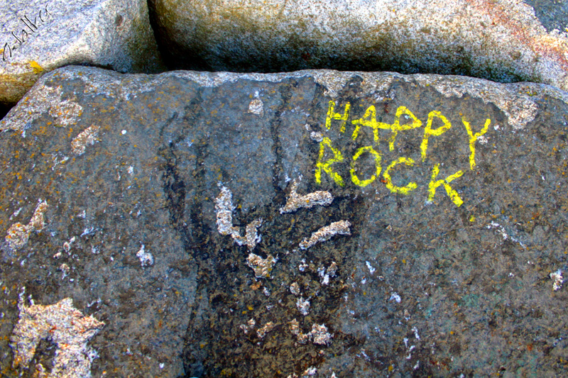Happy Rock
Well, an apparently happy rock
Keywords: Rock