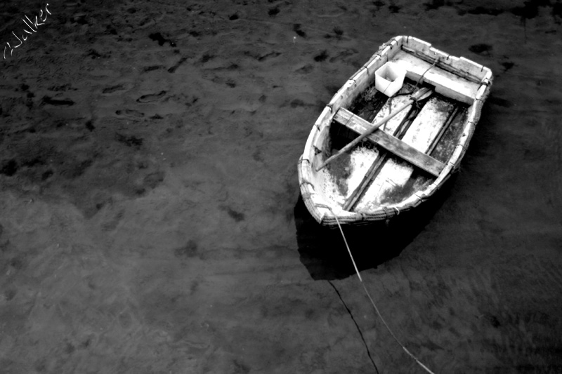 Dingy
A small boat at Axminster
Keywords: small boat Axminster