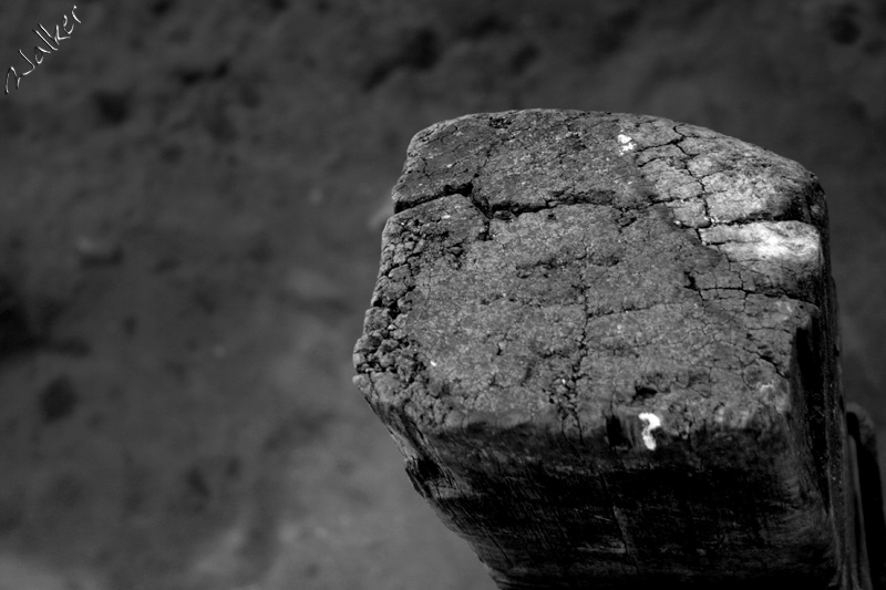 Wooden Post
A weathered wooden post at Axminster
Keywords: Wooden Post