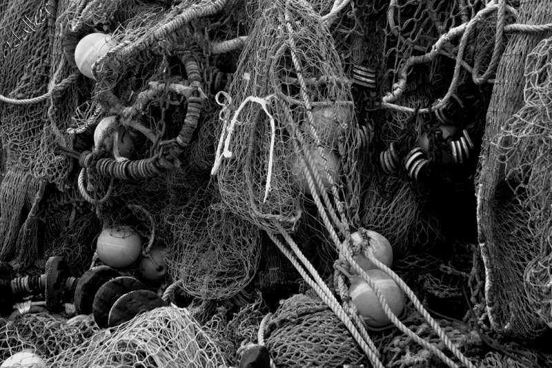 Fishing nets
Fishing nets hung out to dry at Axminster
Keywords: Fishing nets Axminster