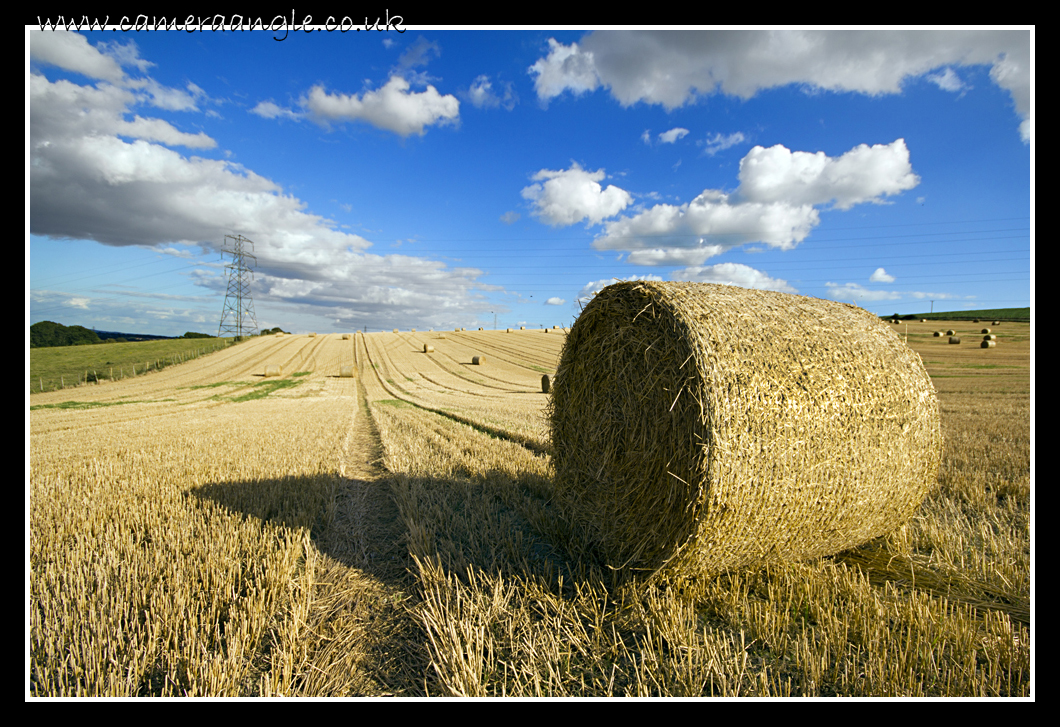 Hay Bales
Keywords: Hay Bale