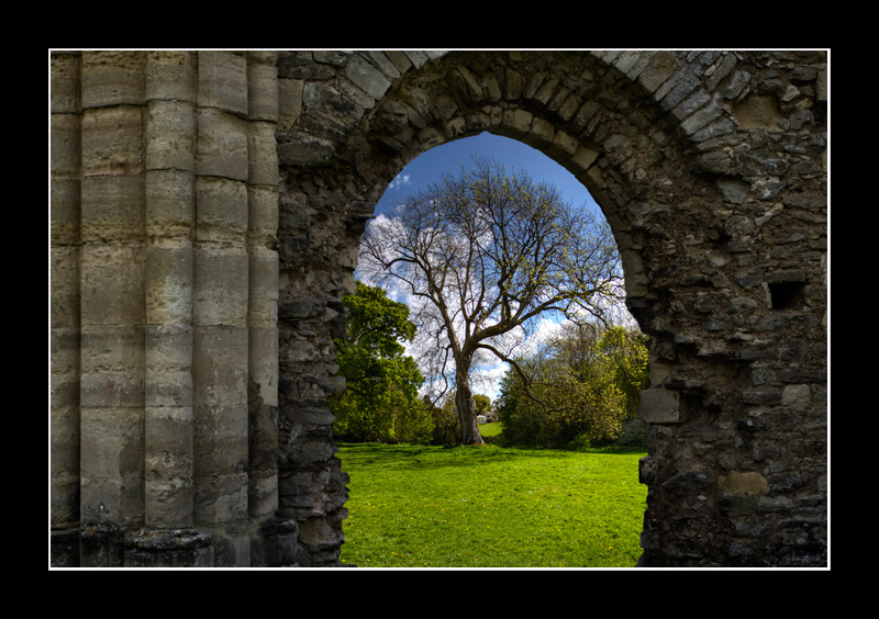 Netley Abbey
Netley Abbey
Keywords: Netley Abbey