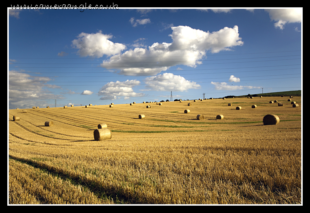 Hay Bales
Keywords: Hay Bale