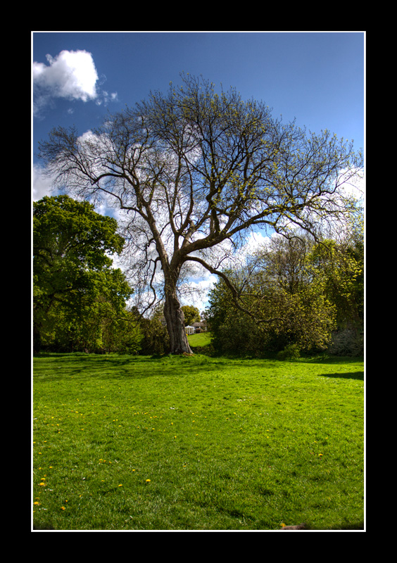 Netley Abbey grounds
Netley Abbey grounds
Keywords: Netley Abbey grounds