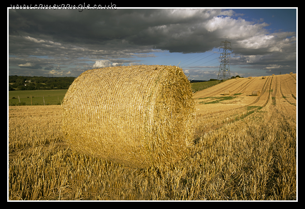 Hay Bale
Keywords: Hay Bale