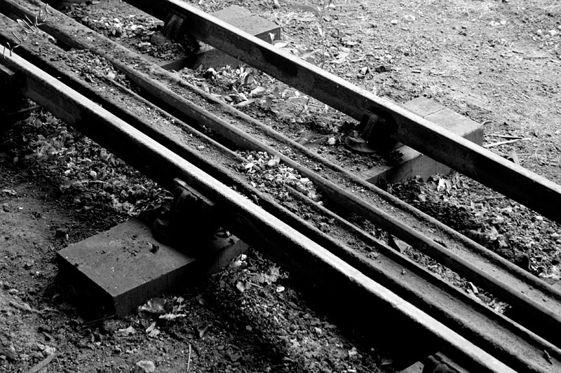 Miniture train tracks
Miniture train tracks
Keywords: Miniture train tracks