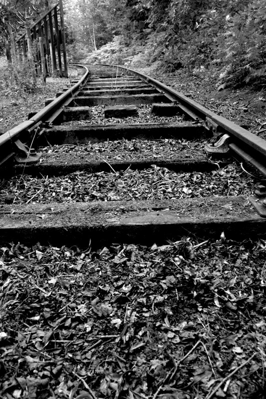 Train Tracks
Train tracks sweeping of in to the distance
Keywords: Train Tracks