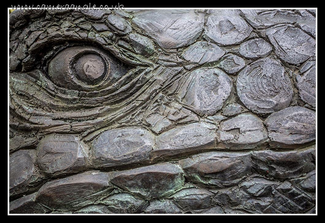 Reptile Smile
The Sculpture Park
Keywords: The Sculpture Park Reptile Smile