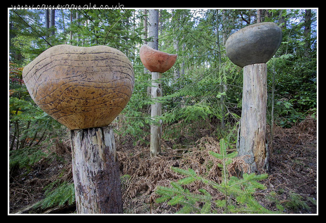 Shrooms
The Sculpture Park
Keywords: The Sculpture Park Mushroom