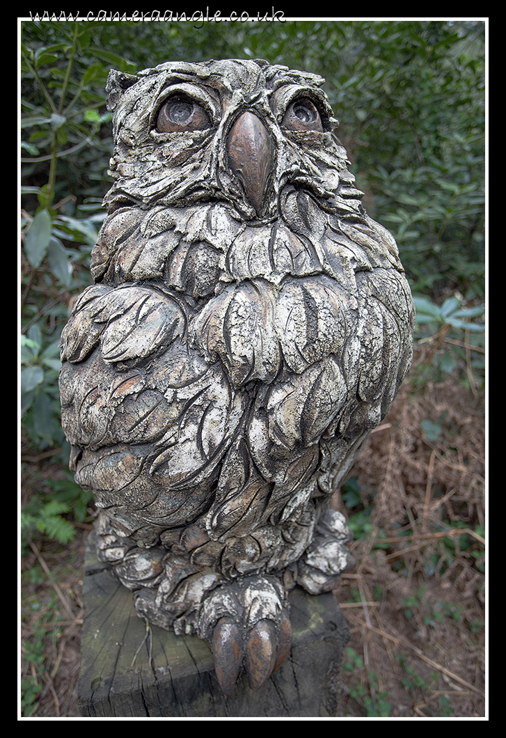 Woot
The Sculpture Park
Keywords: The Sculpture Park Owl