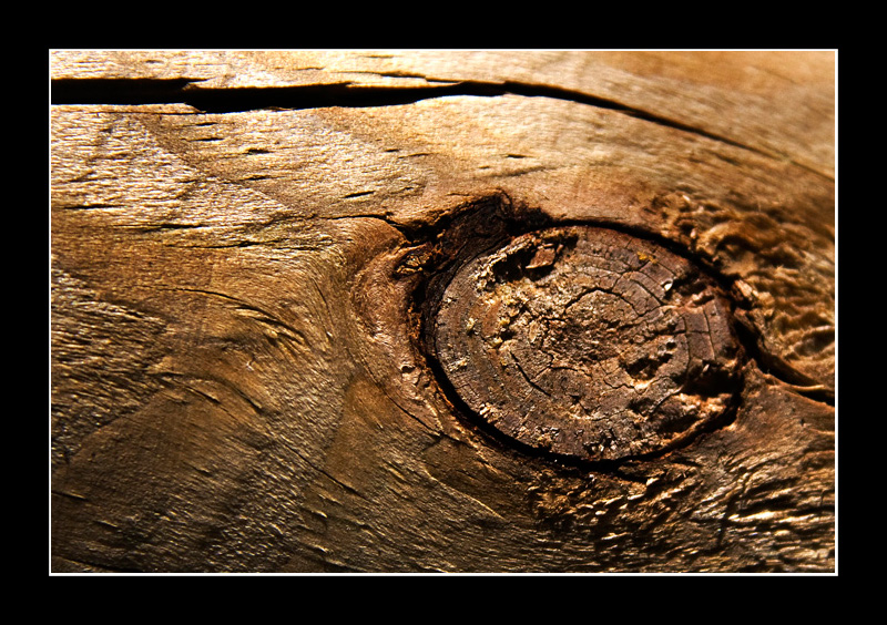 Wooden Eye
Keywords: wood eye