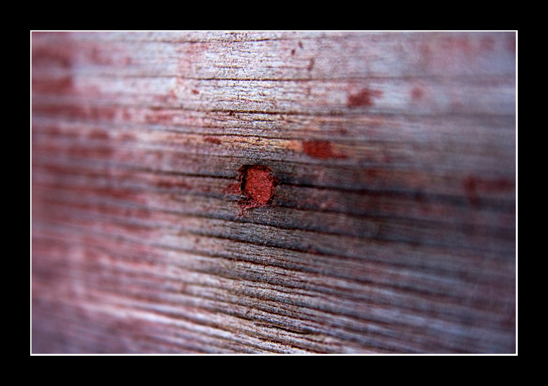 House of Horror
Close up of some wood that was once painted red.
Keywords: wood red