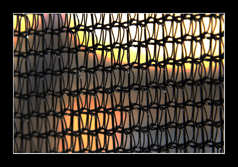 Chain Link
This is actually a very fine mesh taken very close up. The gaps are only big enough for the tip of a pen to fit through.
Keywords: Chain Link mesh