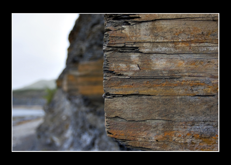 Kimmeridge Bay
Rock face at Kimmeridge Bay
Keywords: Kimmeridge Bay rock