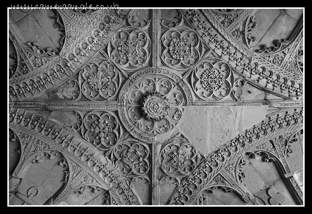 Ornate Celing
Keywords: celing