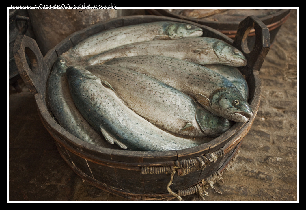 Fishy
I have resisted the usual fish joke on this occasion, so don't carp on about it :)
Keywords: Fish