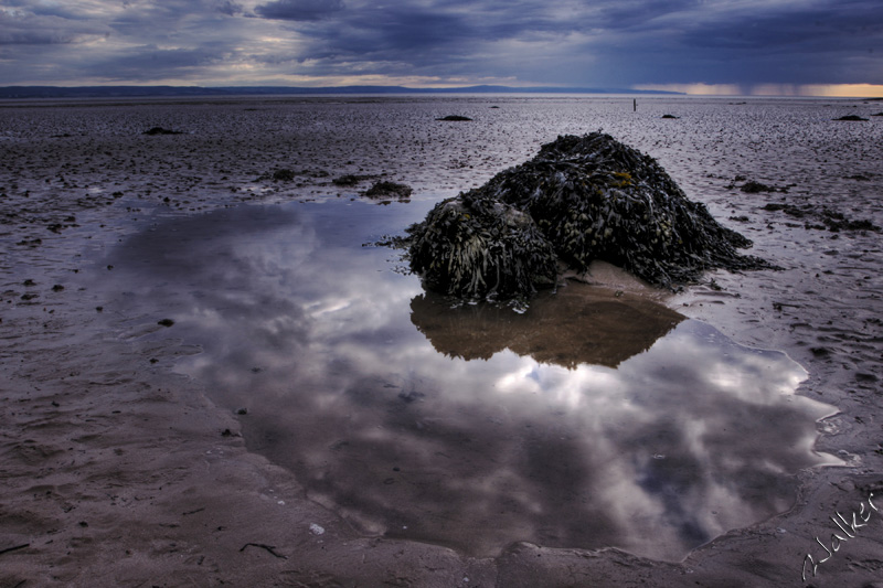 Beach-scape
A lonely rock breaks up the view at Brean Sands beach
Keywords: Brean Sands Beach Rock