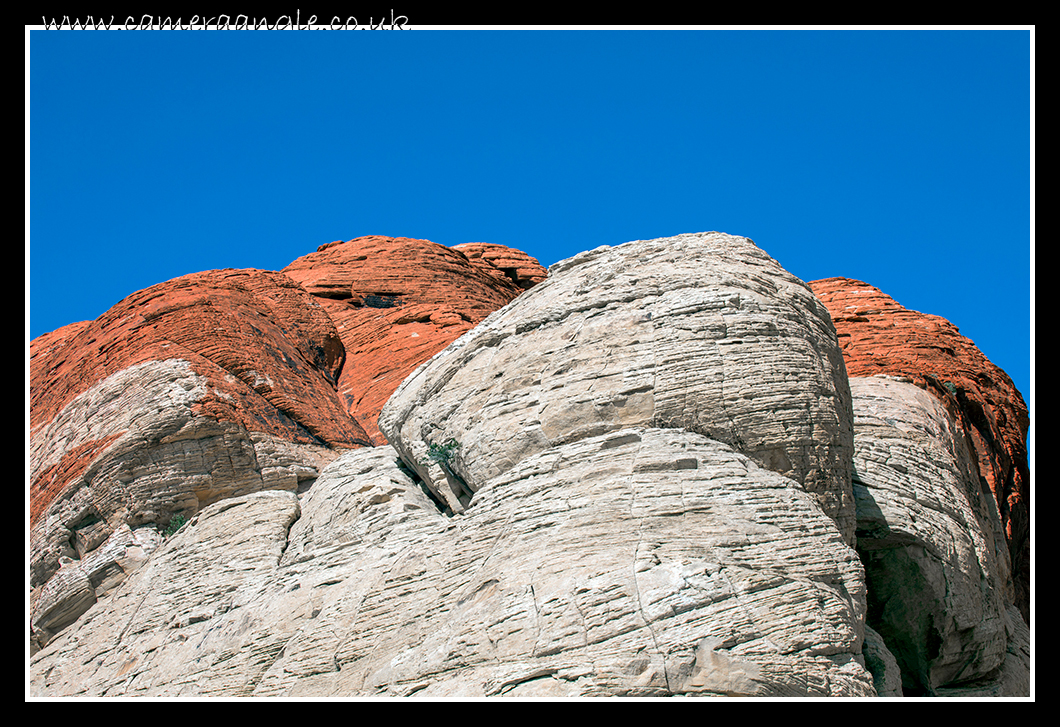 Red Rock Canyon
Keywords: Red Rock Canyon Las Vegas Nevada