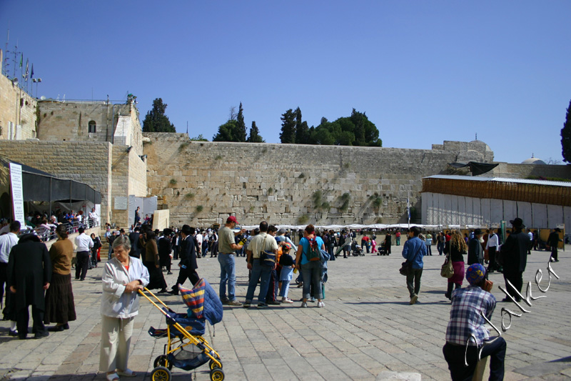 West Wall
The West Wall (Wailing Wall) in Jerusalem Israel. This side is where the Jewish Pray, the other side is where the Arabs pray.
Keywords: West Wailing Wall Jerusalem Israel