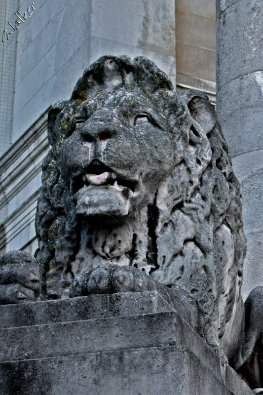 King of the (concrete) Jungle
A lion keeps a watchful eye over the Guildhall entrance
Keywords: Lion Guildhall