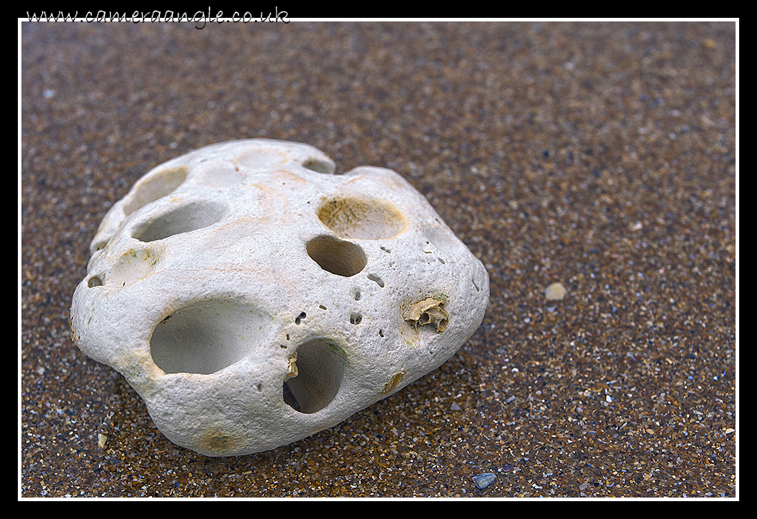 Chalk
Kingsgate Bay
