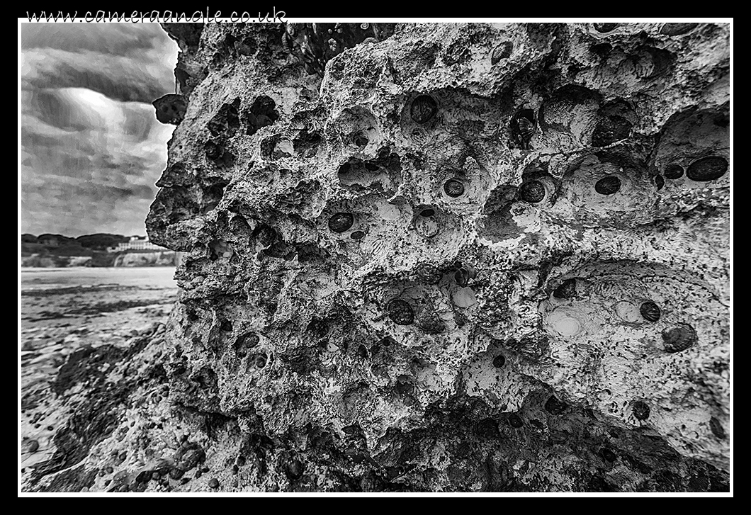 Limpets?
Kingsgate Bay Kent
