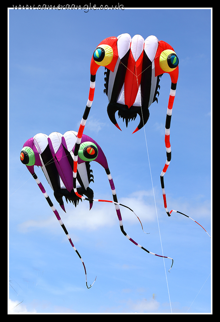 Kites
Southsea Kite Festival
