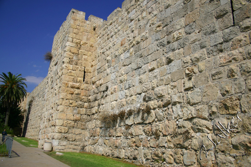 Jerusalem Wall
The East Wall (Jaffa Gate) of Old Jerusalem, Israel
Keywords: East Wall Israel