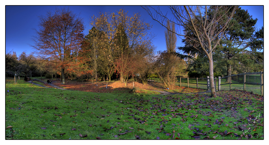 Autumn Park
A panorama of a park in the Autumn
Keywords: Autumn Park Panorama