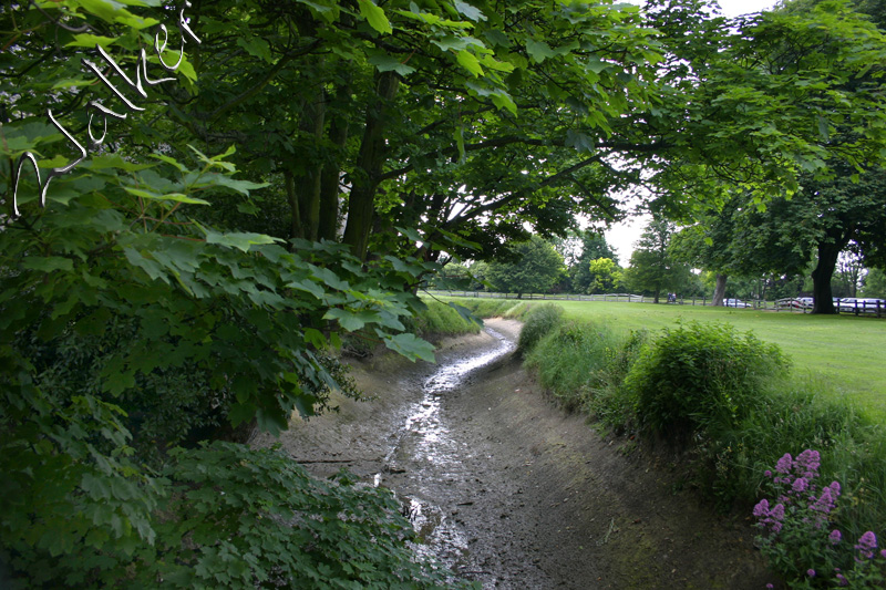 Portchester Castle Moat
Portchester Castle Moat
Keywords: Portchester Castle Moat