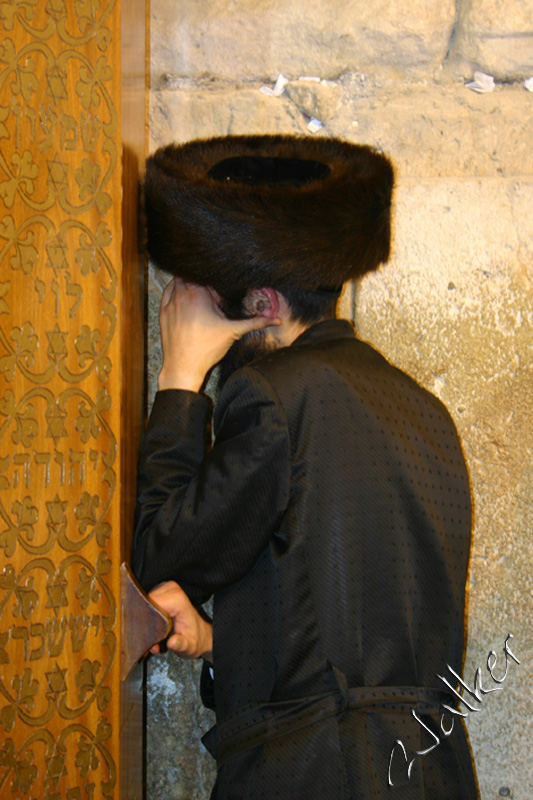 Praying Man
A Jewish Man prays at the West Wall (Wailing Wall) in Jerusalem, Israel
Keywords: Jerusalem Israel West Wall Wailing Man Jewish