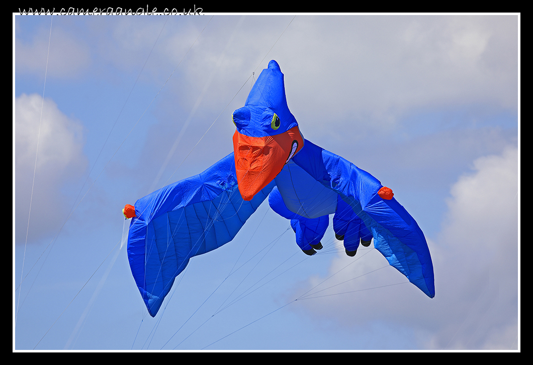 Pterodactyl Kite
Southsea Kite Festival
