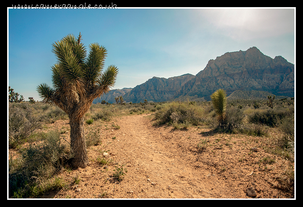 Red Rock Canyon
Keywords: Red Rock Canyon Las Vegas Nevada